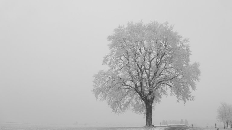 Kelių tarnybos dirba visoje Lietuvoje