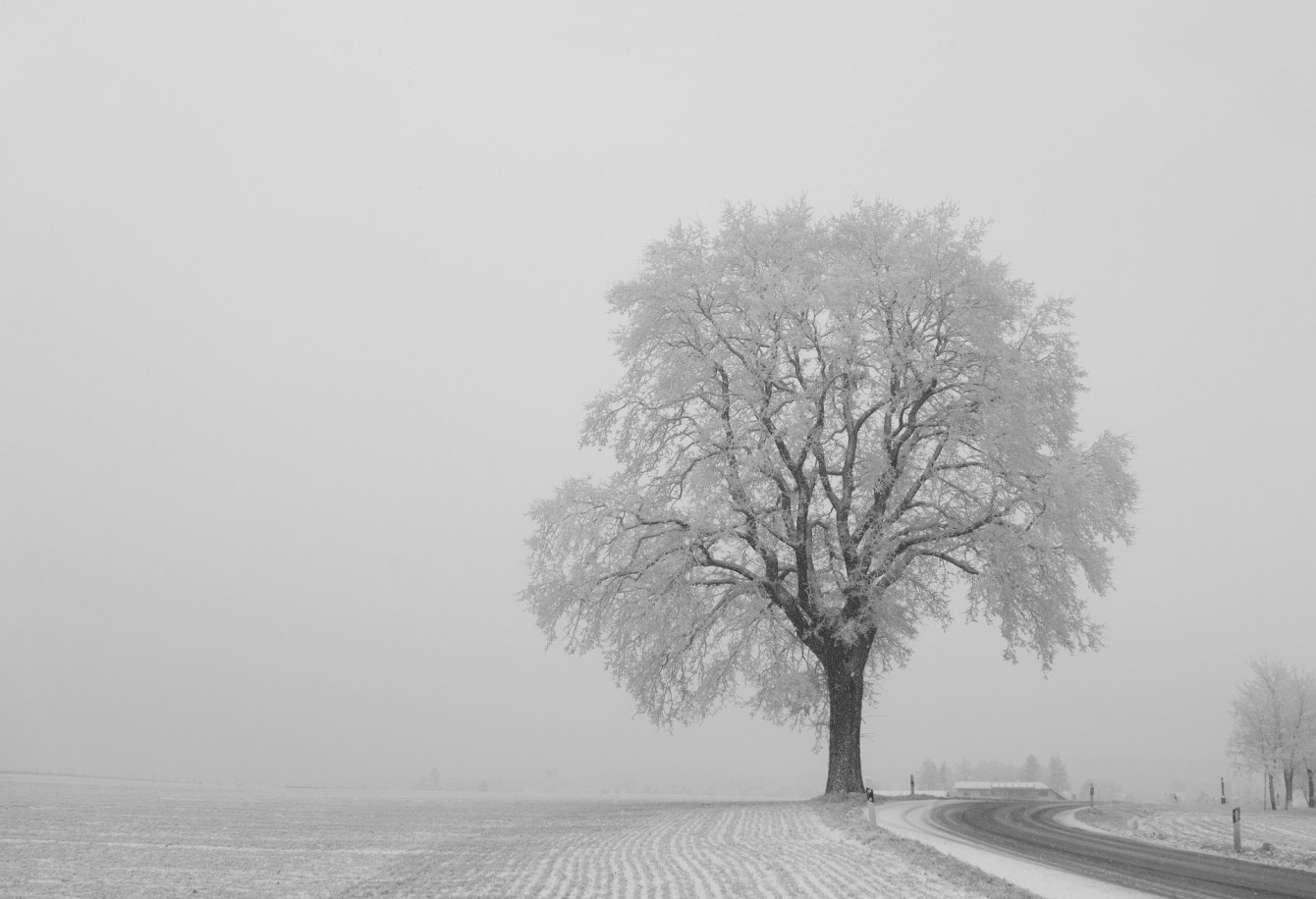 Kelių tarnybos dirba visoje Lietuvoje