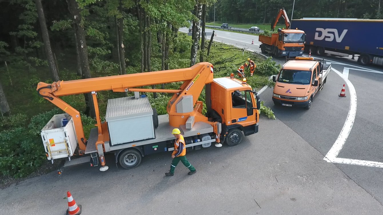 Šią vasarą rekordiškai daug nuvirtusių medžių